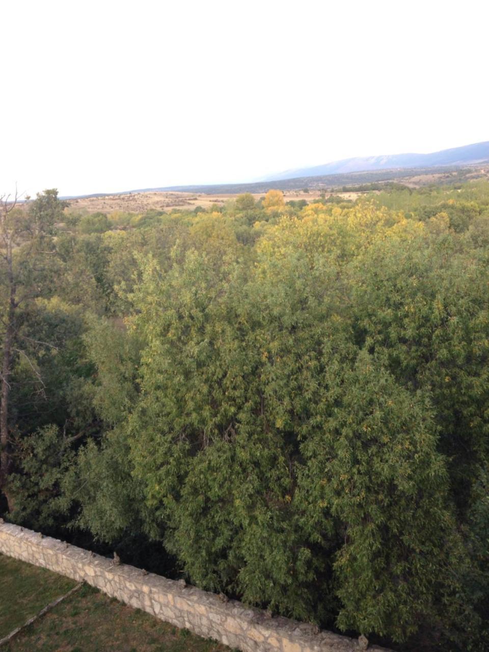 Apartamento Rural La Muralla De Pedraza Chavida Eksteriør billede